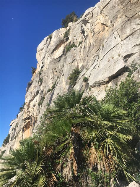 Garraf Parc Natural Del Penya Ginesta Falesia Falesia