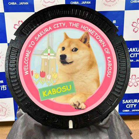 End of an Era: Beloved Doge Meme Dog Kabosu Dies at 18 - Nation Post