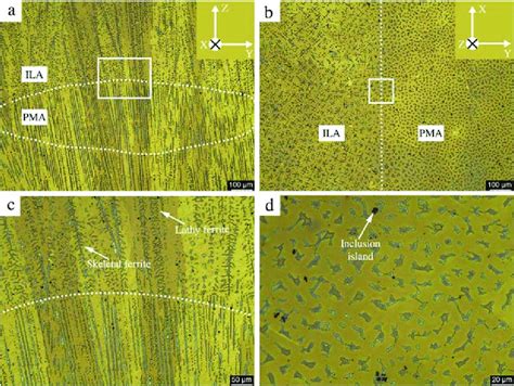 A And B Describes The Microstructure Of The As Built Wall Observed