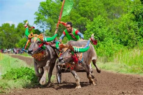 Unique Traditional Sports In Indonesia Indonesia Expat