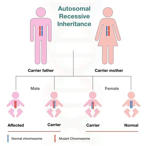 Different Types Of Inheritance Pattern