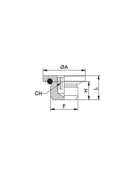 Ax Or Bouchon Pans Creux Mle Cylindrique Avec Joint Bspp Aera