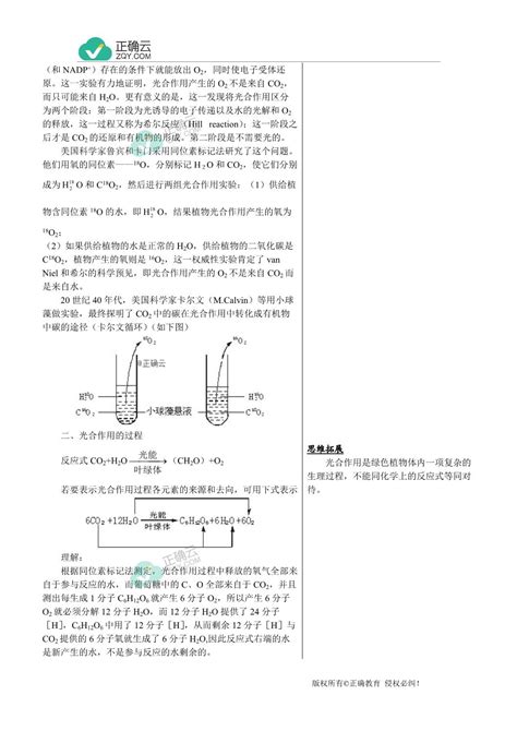 2019 2020学年高中生物人教版（2019）必修一素材：光合作用的原理和应用正确云资源