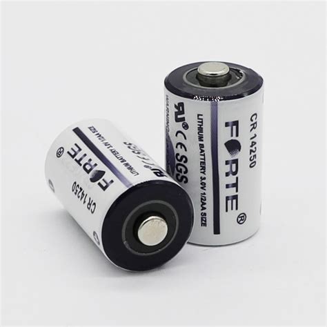 V Aa Size Ah Lithium Battery Cr China Pump Battery And