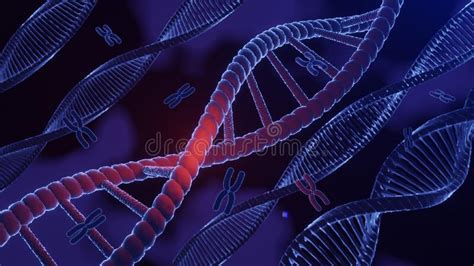 Struttura A Spirale Del Dna Filamento Complementare Di Dna Helix Di