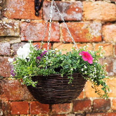 14 Rattan Hanging Basket Pots And Container Gardening Squires