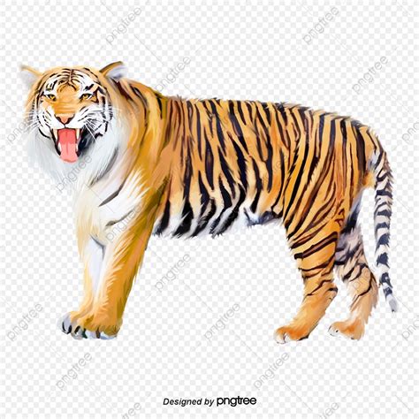 Bengal Tiger PNG Transparent, Siberian Tiger Sumatran Tiger Bengal ...