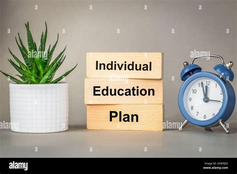 Individual Education Plan. IEP symbol. Program that provides