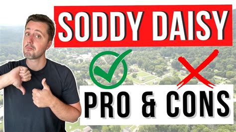 Pros And Cons Of Soddy Daisy Chattanooga Tn Areas Youtube