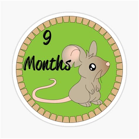 9 Months Sticker For Sale By Orangeeden Redbubble