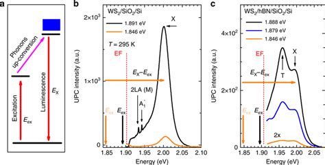 Upconversion Photoemission Process In Monolayer Ws A The Schematic