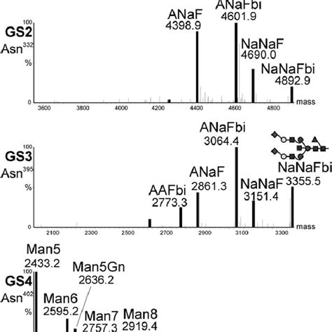 N Glycosylation Profile Of Human Serum Derived Igm Mass Spectra Were