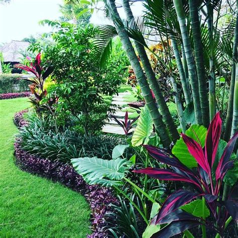 15+ Beautiful Tropical Front Yard Landscape Ideas To Make Your Home ...