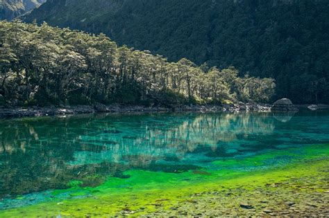 Nelson Lakes National Park Blue Lake—also Known As Rotomairewhenua