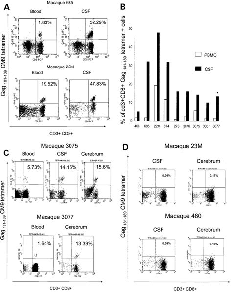 Frequency Of Tetramer Positive Cd T Cells In Blood Brain And Csf Of