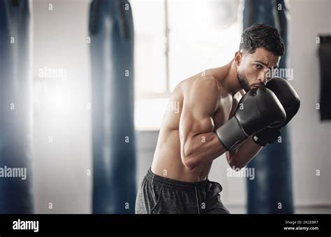 Boxing Gym Man Portrait And Boxer Pose Technique For Protection In Mma