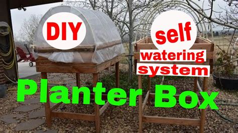 Diy 💧self Watering💧 Elevated Planter Box Organic Gardening Youtube