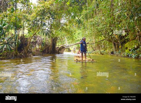 Thailand Khao Lak National Park Bamboo Rafting In Tropical Forest