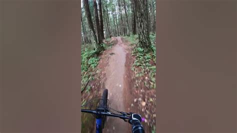 Quick Ride At Swan Creek Mountain Bike Park Youtube