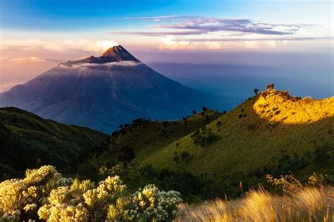 Mount Gede Pangrango National Park West Java Indonesia