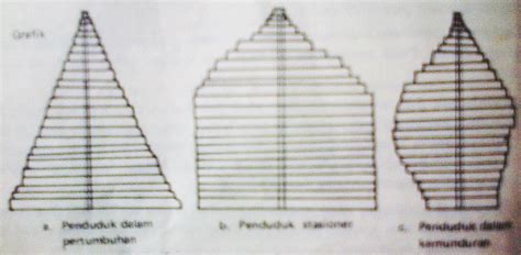 My Blog Macam Macam Piramida Grafik Penduduk