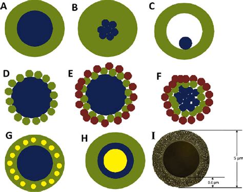 The Schematic Diagram Of Different Coreshell Nanomaterial