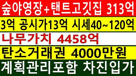 수도권 수~만평 임야 공시가14억 시세40~120억 계획관리포함 차진입가 숲야영장캠핑교회6차산업탠트고기집 나무가치4458억