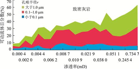 致密油藏储层微观孔隙特征与可动用性评价