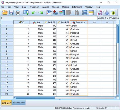 How To Recode String Variables In Spss Quick Spss Tutorial Riset