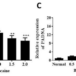 Expression Patterns Of The Differentially Expressed Genes Including