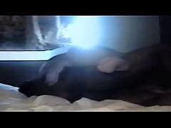 Hot Mexican Xxx Mobile Porno Videos Movies IPornTV Net