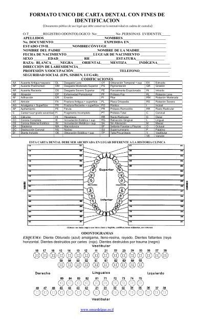 Formato De Historia Clinica Odontologica Word Infoupdate Org