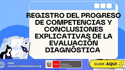 Registro Del Progreso De Competencias Y Conclusiones Explicativas De La