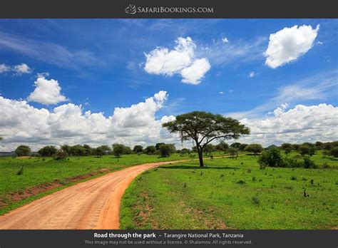 Tanzania Safari 2 Day Adventure Awaits In Tanzania National Parks