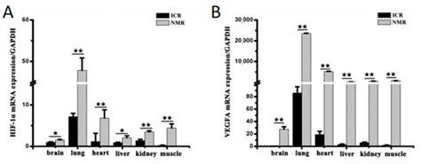 Naked Mole Rats Demonstrate Profound Tolerance To Low Oxygen High Carbon Dioxide And Chemical