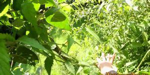 Lesbian Urinates On Babe Tnaflix