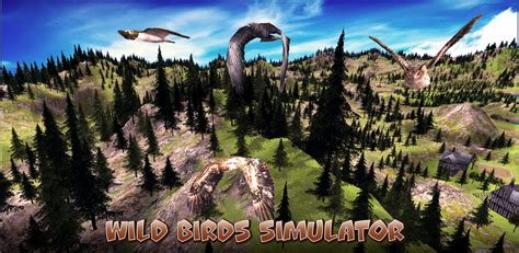 Wild Bird Survival Simulator Amazon De Appstore For Android