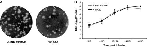 Plaque Morphology And One Step Growth Kinetics Of Parental A IND