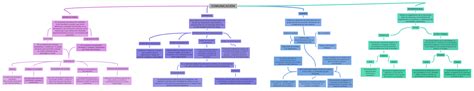 ComunicaciÓn Coggle Diagram