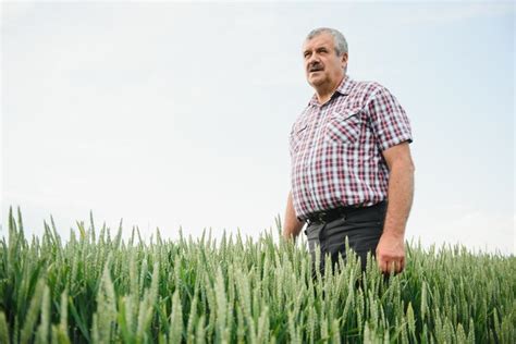 Retrato do agricultor agrônomo sênior no campo de trigo olhando à