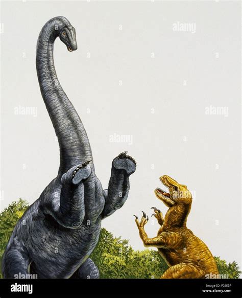 T Rex Vs Brachiosaurus