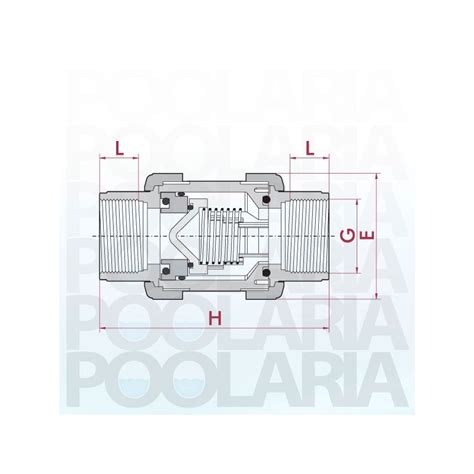 V Lvula Antirretorno Pvc Cepex Epdm Roscar Poolaria