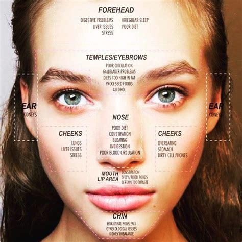 Face Map Your Acne Different Areas And Locations Of Your Acne Can Tell You He Underlying Cause