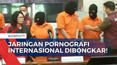 Jaringan Pornografi Hingga Judi Internasional Dibongkar Polisi Youtube