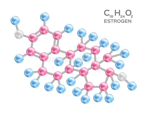 Estrogen Molecule Stock Illustration Illustration Of Model 16340882