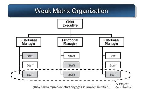 Everything To Know About Matrix Organisational Structure