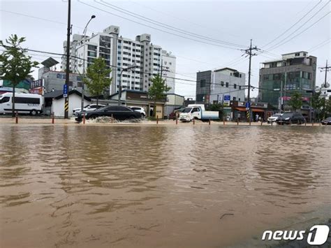 집중호우로 개학 앞둔 광주·전남 학교 40곳 피해 네이트 뉴스