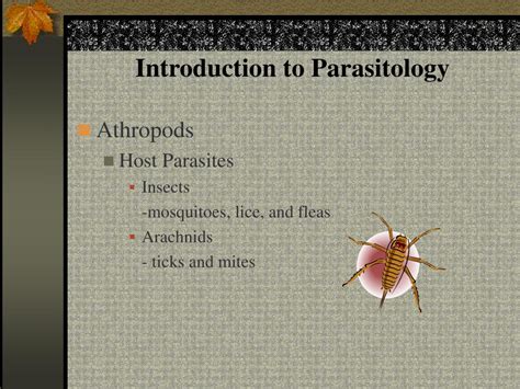 Ppt Introduction To Parasitology Powerpoint Presentation Id162925