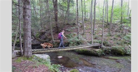 New Loyalsock state forest map available from Pennsylvania cartography ...