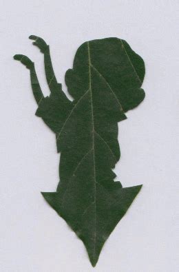 Leaf GIF - Find & Share on GIPHY